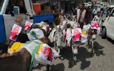 بمشاركة الحمير.. احتجاجات غاضبة في تعز للمطالبة بتوفير المياه