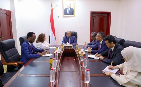 بن بريك يدعو المانحين لدعم خطط الحكومة لمواجهة الأزمات الإنسانية والاقتصادية