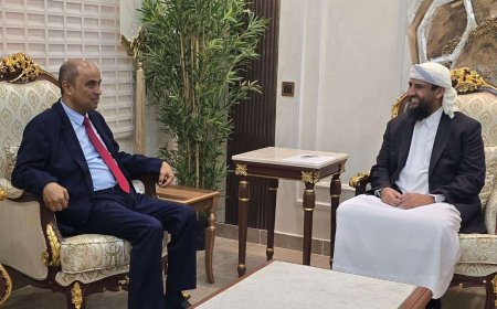 في عدن.. المحرّمي وبن بريك يناقشان إصلاحات الاقتصاد وتأمين استمرارية الكهرباء