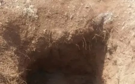 موقع أثري جديد يتعرض للنهب في إب.. تفاصيل