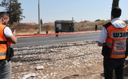 إصابة 8 إسرائيليين بعملية دهس في بيت ليد والشرطة تبحث عن السائق