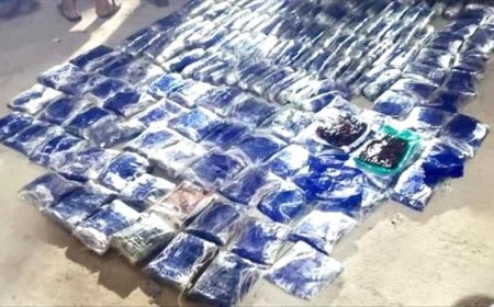 الشبو والحشيش في الصدارة.. تقرير رسمي يكشف حصيلة مكافحة المخدرات