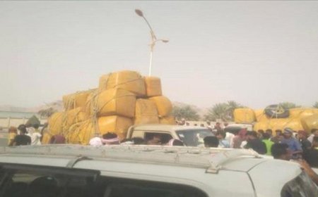 أهالي تريم يقطعون الطريق على القات: لا لتمويل الميليشيات وتدمير الصحة