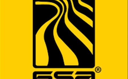 استياء واسع بسبب بيان مجموعة هائل سعيد أنعم عقب تحسن سعر الصرف