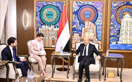 العليمي يؤكد أهمية الدعم الدولي للإصلاحات وتعزيز الاستقرار الاقتصادي