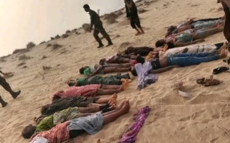 الهجرة الدولية تعلن عن إنقاذ دفعة أخرى من المهاجرين بعد مأساة سابقة