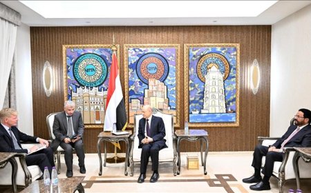 العليمي يؤكد أهمية دور المجتمع الدولي في منع إعادة إنتاج استبداد المليشيات