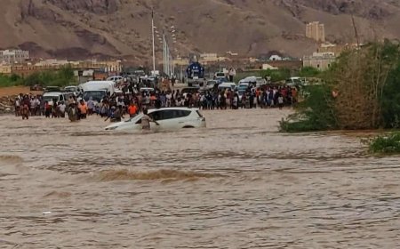 حضرموت.. وفاة شاب غرقاً ونفوق 160 رأساً من المواشي جراء السيول