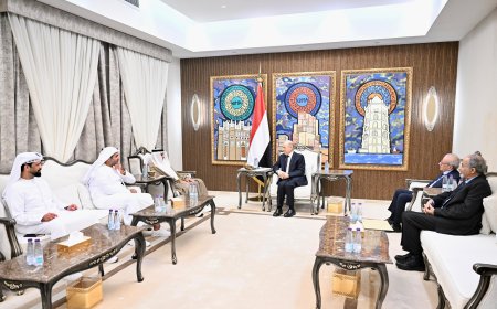 رئيس مجلس القيادة الرئاسي يشيد بالدور الإماراتي في دعم قطاع الكهرباء