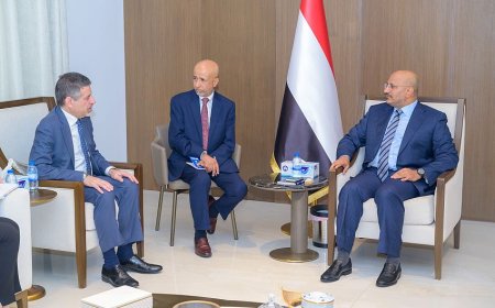 ملفات الأمن والاقتصاد على طاولة مباحثات طارق صالح والسفير الأمريكي بالإمارات