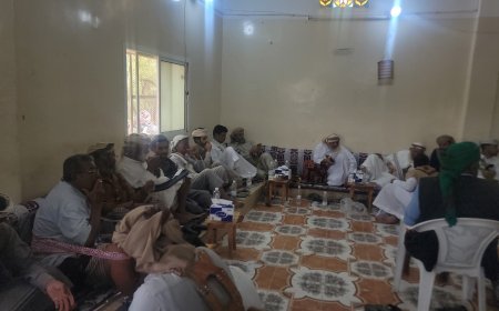 شبوة تشهد تحكيماً قبلياً برئاسة المحافظ بن الوزير لإنهاء النزاع بين خليفة وعبيدة