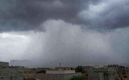 الآن.. أمطار غزيرة تتساقط على مديرية الروضة بشبوة