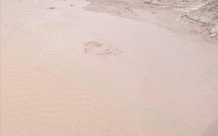 كيف غرقَت خمس نساء من أسرة واحدة في قرية المحصامة بأحور؟