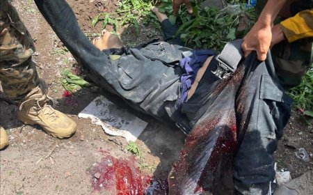 مقتل محمد صادق المخلافي المتهم الرئيس باغتيال افتـهان المشهري في تعز