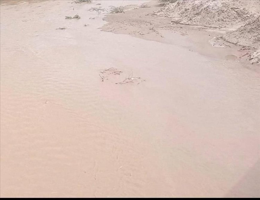 كيف غرقَت خمس نساء من أسرة واحدة في قرية المحصامة بأحور؟