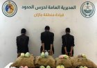 القبض على ثلاثة يمنيين في جازان بتهمة تهريب 80 كيلوجراماً من القات