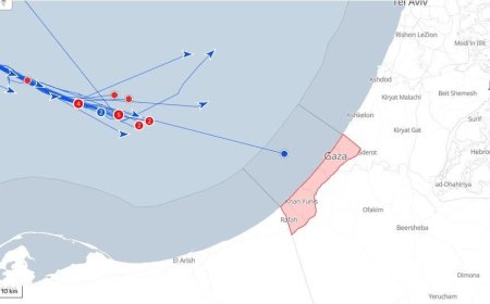 عاجل.. سفينة (ميكينو) تكسر الحصار وتقترب من شواطئ غزة