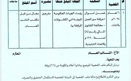204 مؤسسة رسمية تعمل كـ جزر مالية معزولة.. تقرير رسمي يفضح التهرب من القانون!