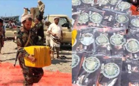 إحباط عملية تهريب ضخمة في باب المندب وضبط قارب محمّل بالمخدرات