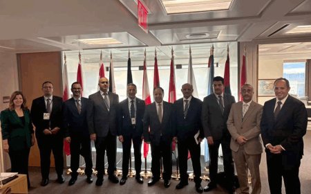 لقاء بين البنك المركزي اليمني وصندوق النقد الدولي يناقش الإصلاحات والدعم المالي الطارئ