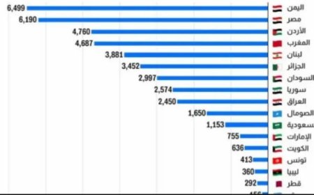 تعرف كم بلغت تأشيرات الهجرة لليمنيين إلى أمريكا هذا العام؟
