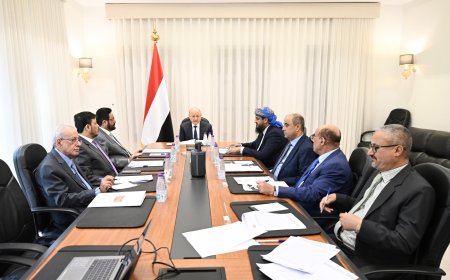 قرارات جديدة من مجلس القيادة لضبط الإنفاق وتحسين كفاءة إدارة الموارد العامة.. تفاصيل