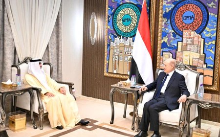 العليمي: نشكر الإمارات على دعمها في مجالات الطاقة والإغاثة والتنمية