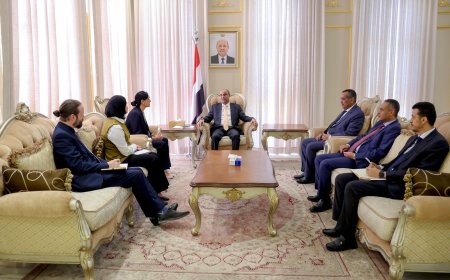 خلال لقائه السفيرة البريطانية.. بن بريك يشدد على أهمية ضبط العلاقة بين المركز والسلطات المحلية