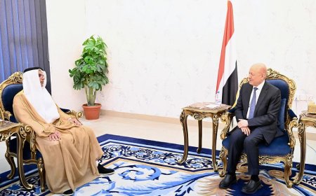 العليمي يستقبل السفير الإماراتي ويثمّن توجيه محمد بن زايد بدعم الطاقة