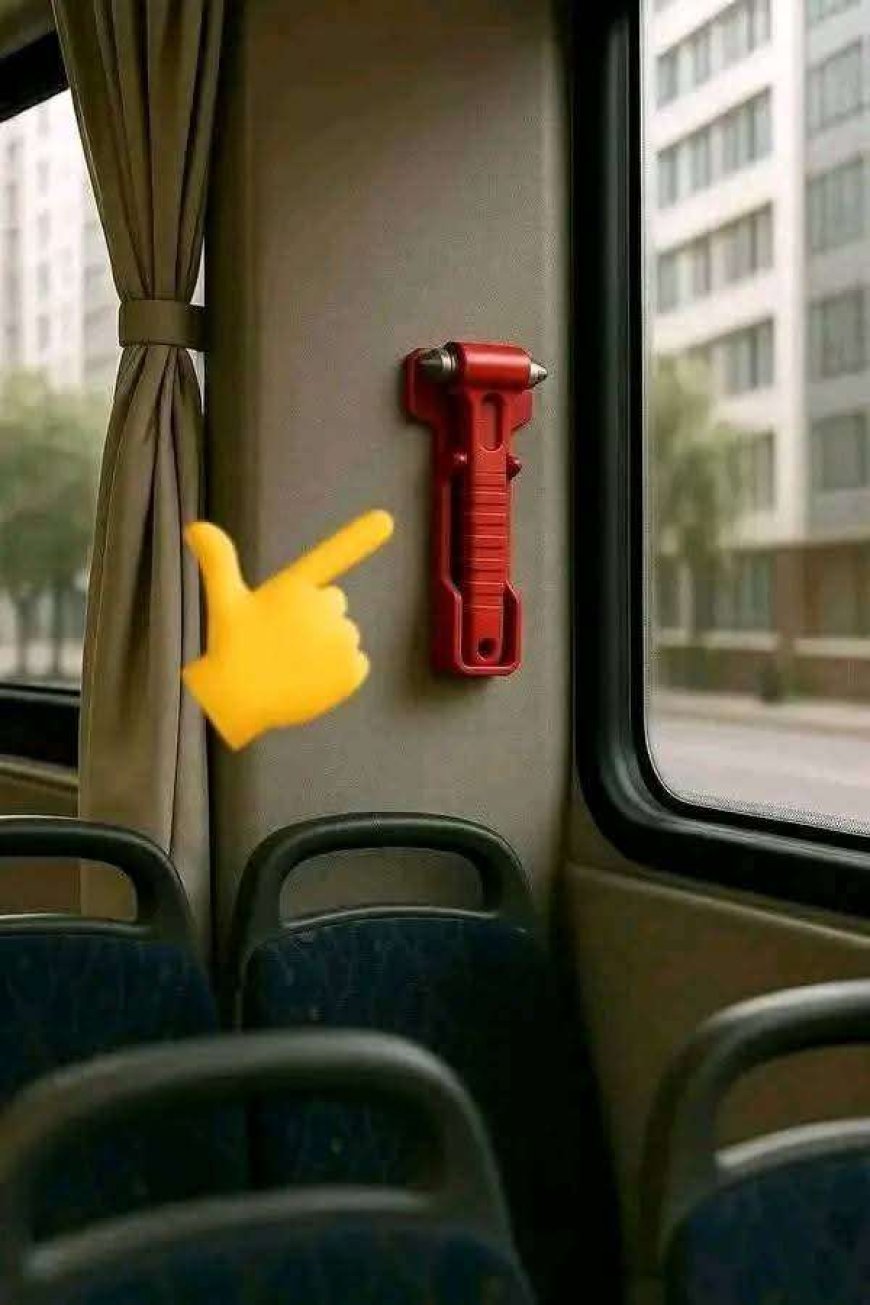 مسنة تثير الجدل في عدن بعد إصرارها على حمل مطرقة طوارئ داخل الحافلة