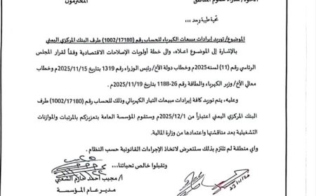 توجيهات عليا بتوريد إيرادات الكهرباء إلى البنك المركزي ابتداءً من ديسمبر 2025.. وثيقة