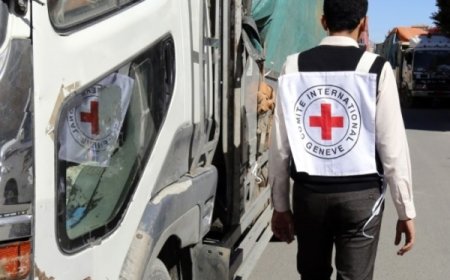 الصليب الأحمر يكشف حجم الاحتياجات الإنسانية في اليمن