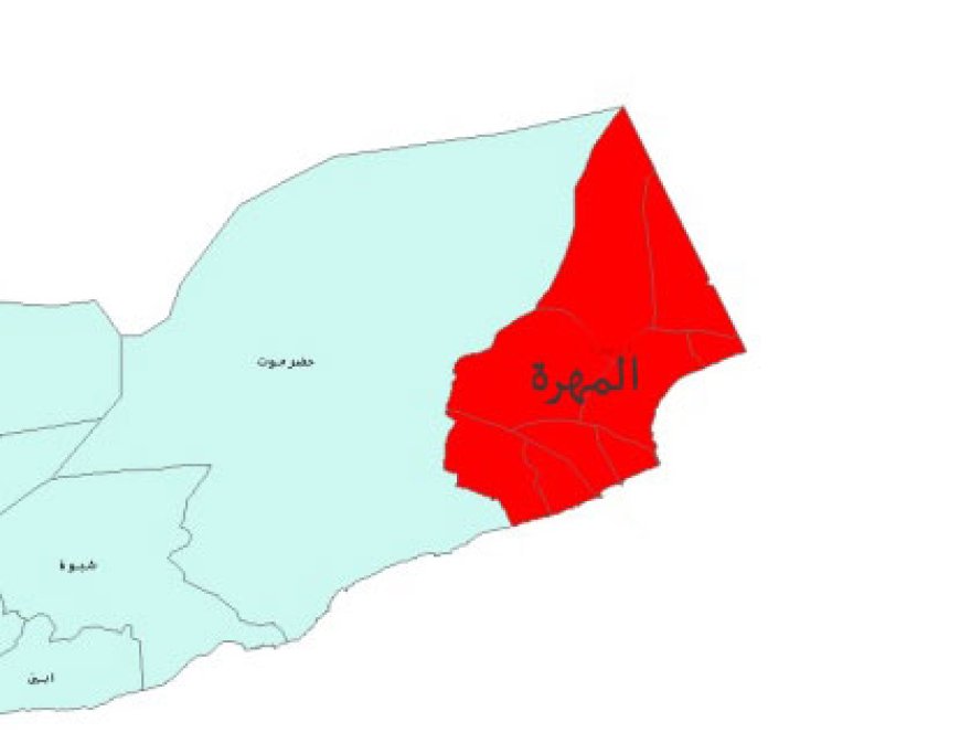 في ظل التطورات العسكرية.. توافد ضخم إلى الغيضة استعدادا لهذا الأمر