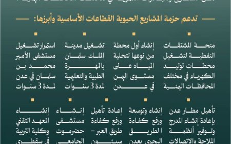 تفاصيل حزمة المشاريع السعودية الجديدة لدعم التنمية في اليمن