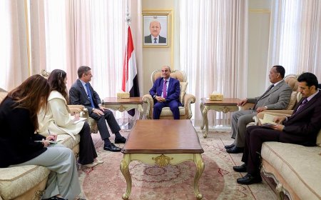 تأكيد يمني–أميركي على دعم الشرعية وترسيخ سلطة الدولة.. تفاصيل