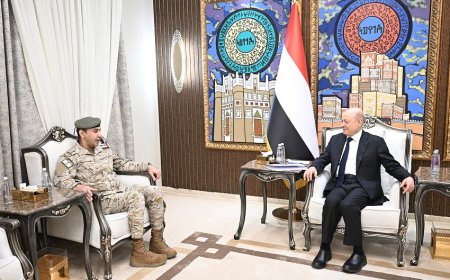 لقاء رئاسي يناقش آليات التنسيق العسكري ودعم قدرات القوات المسلحة.. تفاصيل