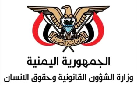 إدانة حكومية للجريمة الإرهابية التي استهدفت العميد حمدي شكري