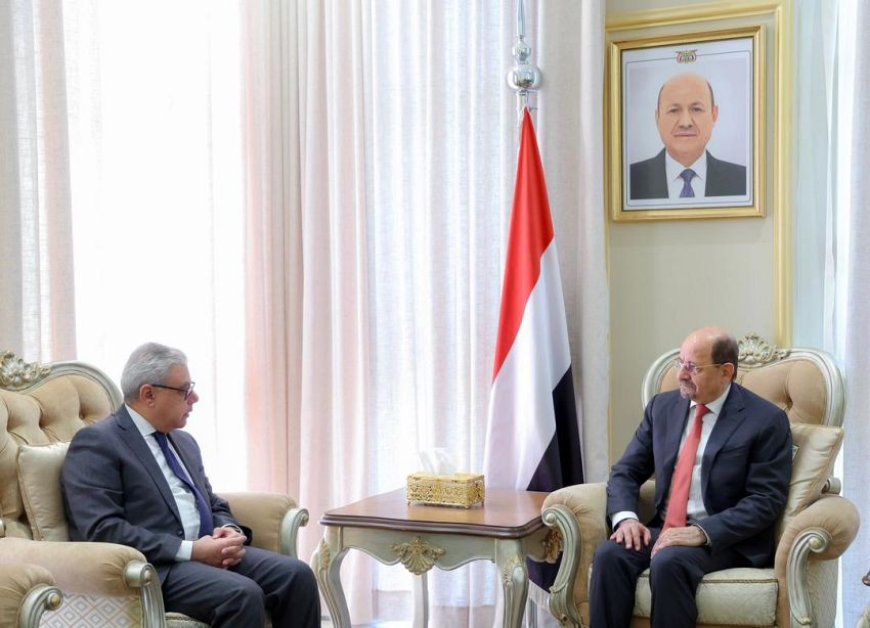 دعم مصري كبير للحكومة اليمنية.. تفاصيل