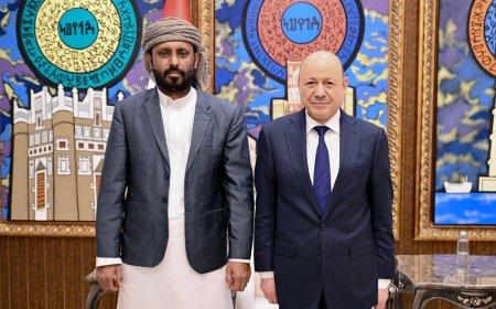 العليمي يؤكد خلال لقائه بن حبريش ضرورة الإشراك العادل في العملية السياسية