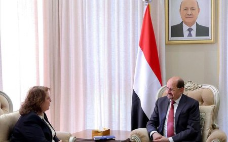 رئيس الوزراء يناقش مع ممثل برنامج الأمم المتحدة الإنمائي تعزيز الشراكة