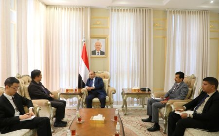 عضو مجلس القيادة محافظ حضرموت يلتقي فريق مكتب المبعوث الأممي الخاص لدى اليمن