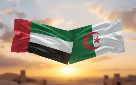الجزائر تعلن إلغاء اتفاقية جوية مع دولة الإمارات.. تفاصيل