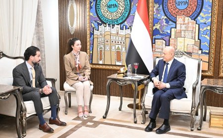 العليمي: أي تسوية سياسية يجب أن ينهي الحرب ولا تشرعن السلاح خارج الدولة