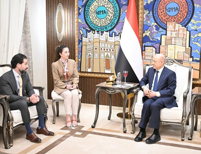 العليمي: أي تسوية سياسية يجب أن ينهي الحرب ولا تشرعن السلاح خارج الدولة