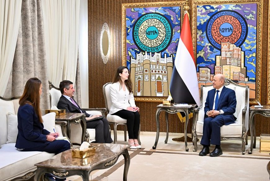 لقاء يمني أميركي يؤكد التنسيق لمواجهة الحوثيين وتهديدات البحر الأحمر