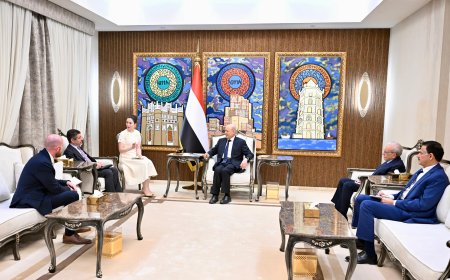 العليمي يؤكد أهمية استمرار الضغوط على النظام الإيراني وتفكيك مليشياته