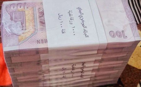 صرف راتب شهرين للجيش بعدن