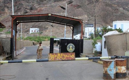 مصدر عسكري: لا اقتحام لأي منزل والتحركات في جولد مور ضمن إجراءات رسمية