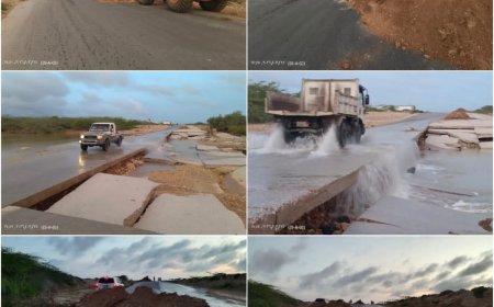 شاهد الصور.. تضرر جسر بشار جراء السيول وصحفي يوجه رسالة غاضبة