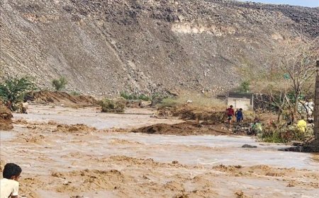 تعرف كم بلغ عدد ضحايا السيول في المخا وموزع.. تفاصيل